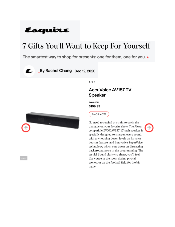 Esquire Press Coverage 12.12.20 (ZVOX)