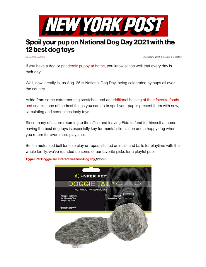 Spoil your pup on National Dog Day 2021 with the 12 best dog toys
Featured Brands include:Hyper Pet, SodaPup

Read More